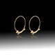 Dachshund Earrings